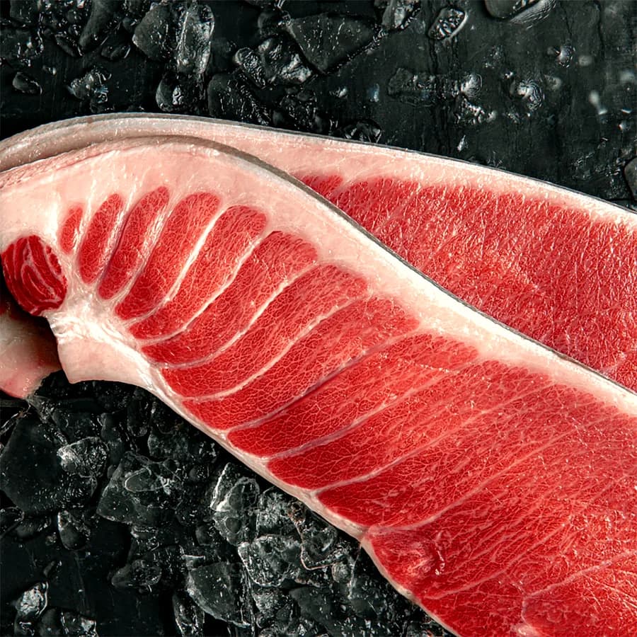 VENTRESCA DE ATUN ROJO SALVAJE GADIRA